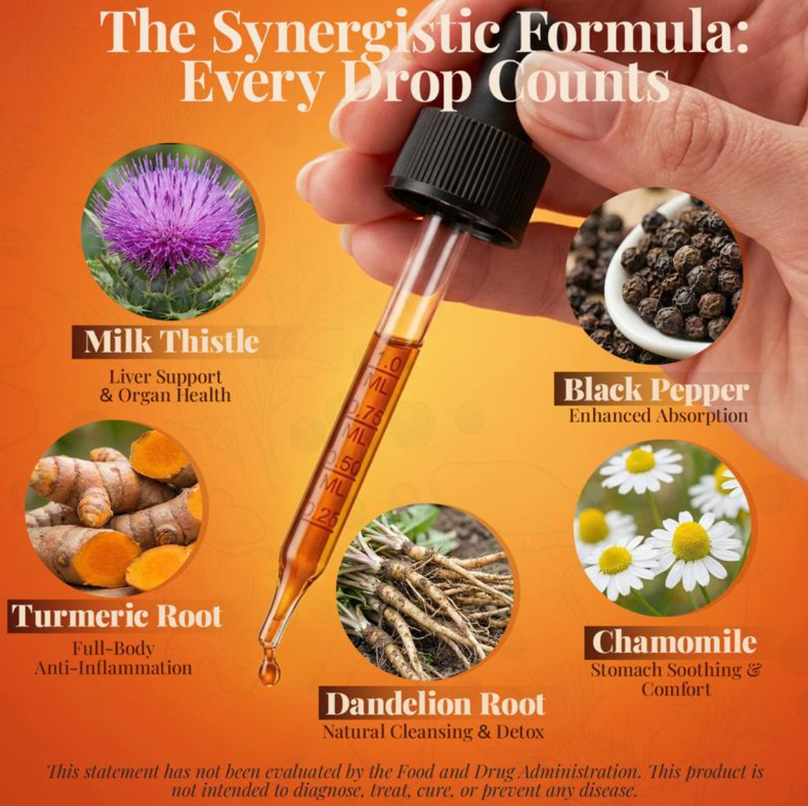 Turmeric Curcumin & Milk Thistle Liquid Drops for Liver Health